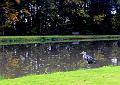 MG Herfstwandeling op 18-10-2015, org. Judith & Monke Menten (3)